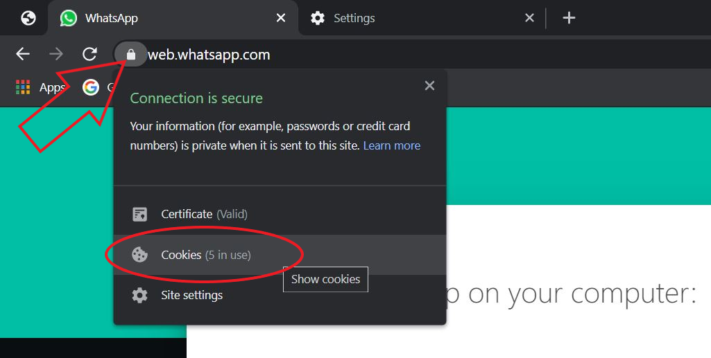 Fix WhatsApp works with Google Chrome 60+—Update Google Chrome Error