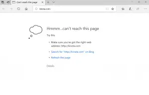 network error in google chrome store