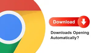 Stop Downloads from Opening Automatically in Chrome