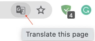 Translate Icon in Chrome Address bar