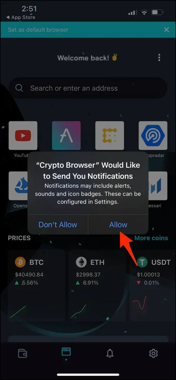 Crypto Browser On iOS