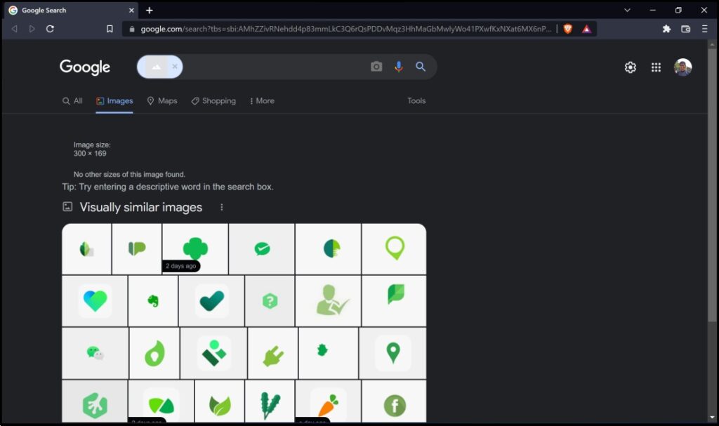 Old Google Image Search in Brave
