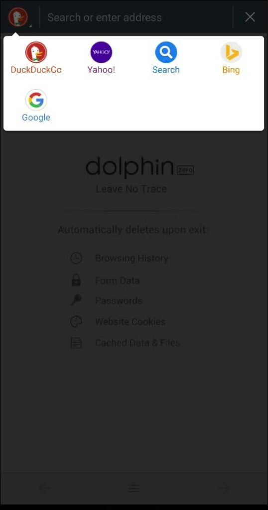 Dolphin Zero Lightweight Android Browser
