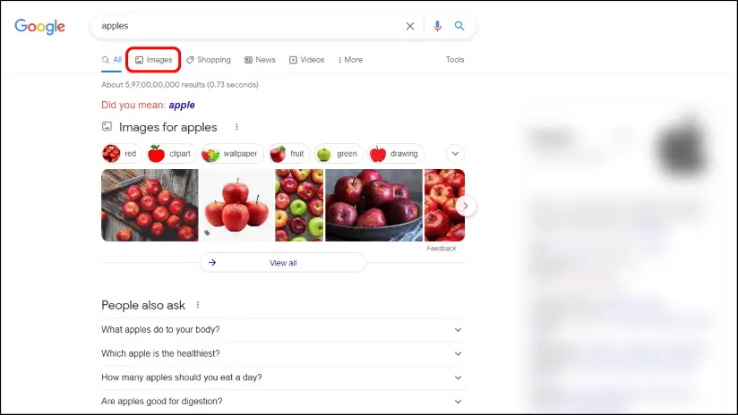 Download Google Search Images in Bulk
