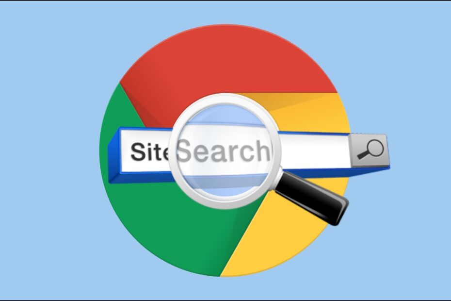 Search Within a Website in Google Chrome