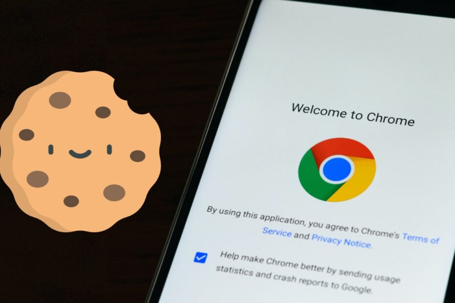Clear Browser Cache Cookies on Android