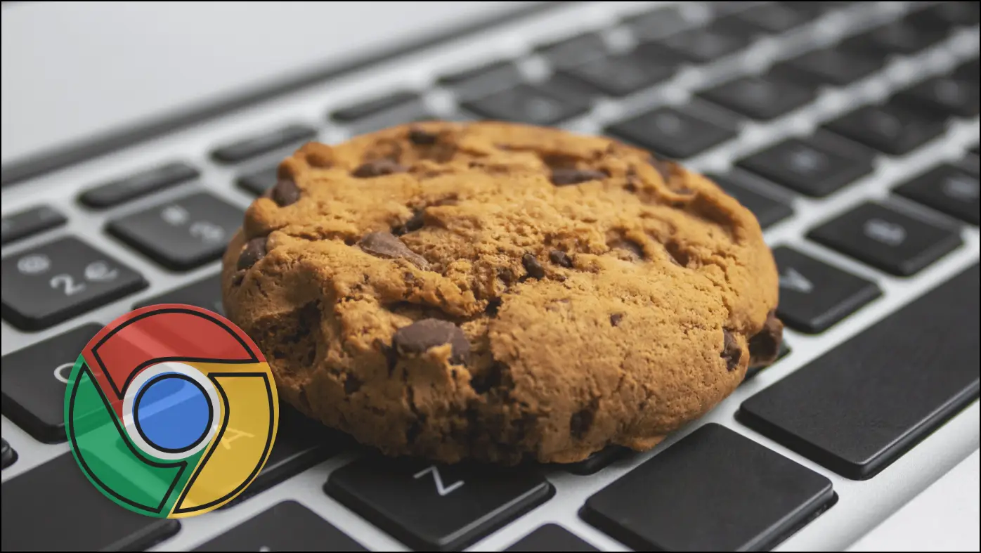 Delete, Replace, or Spoof Tracking Cookies in Chrome