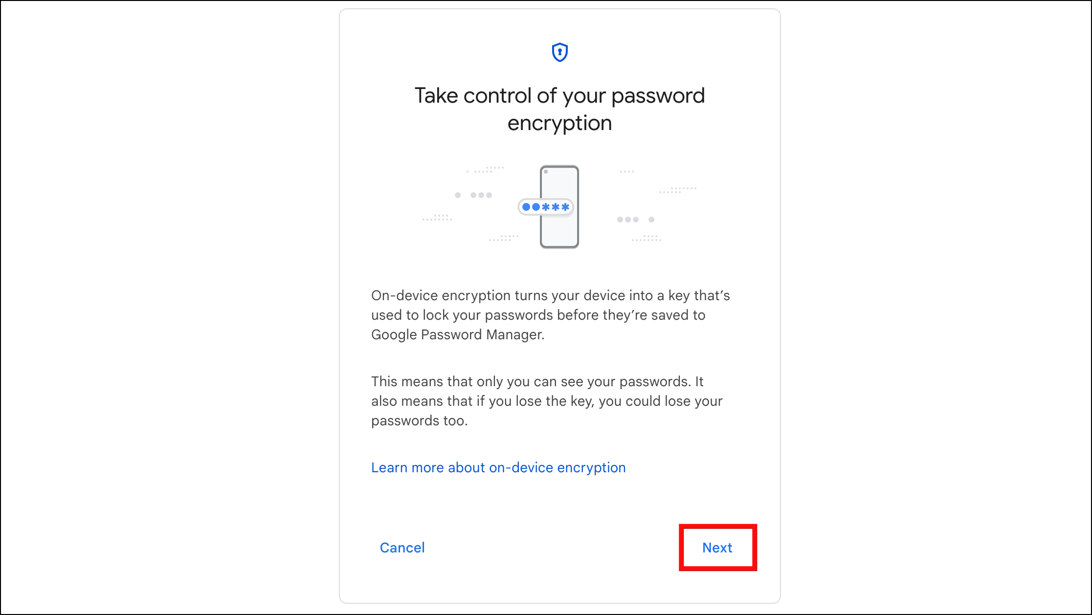 Google Passwords On Device Encryption PC