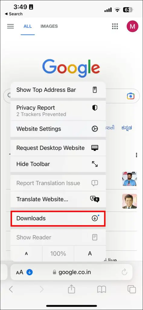 Check Downloads in Safari