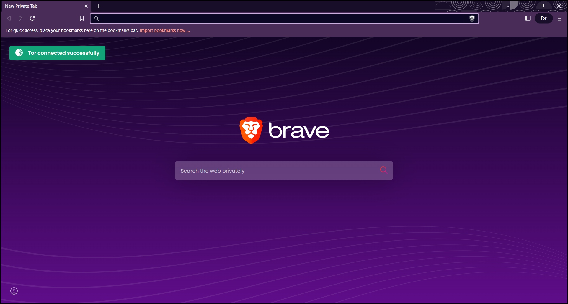 What is Private Window with Tor in Brave Browser?