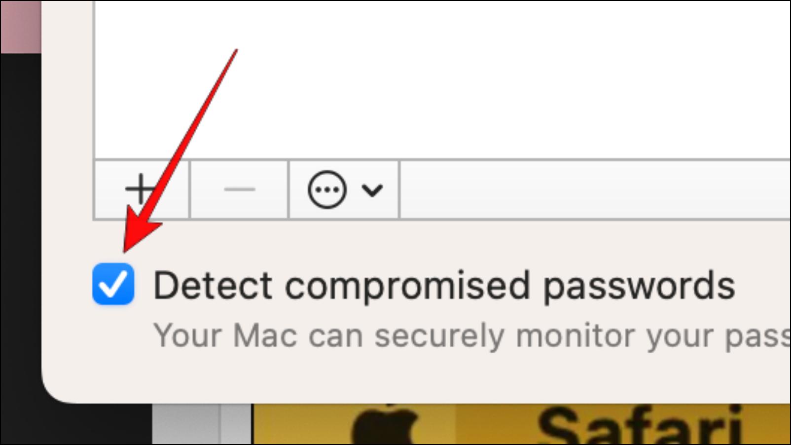 Passwords Privacy in Safari Settings