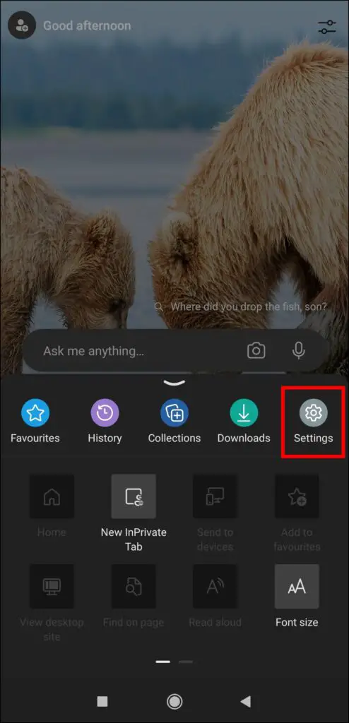 Block the Camera Access from Browser Settings