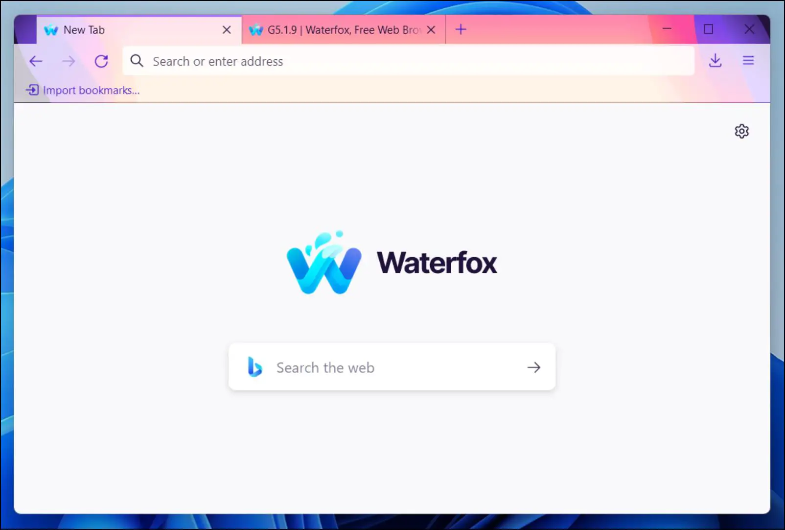 Waterfox-Browser-Windows