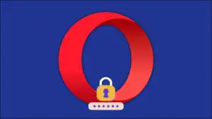 How to Save, View, and Manage Passwords on Opera Browser?