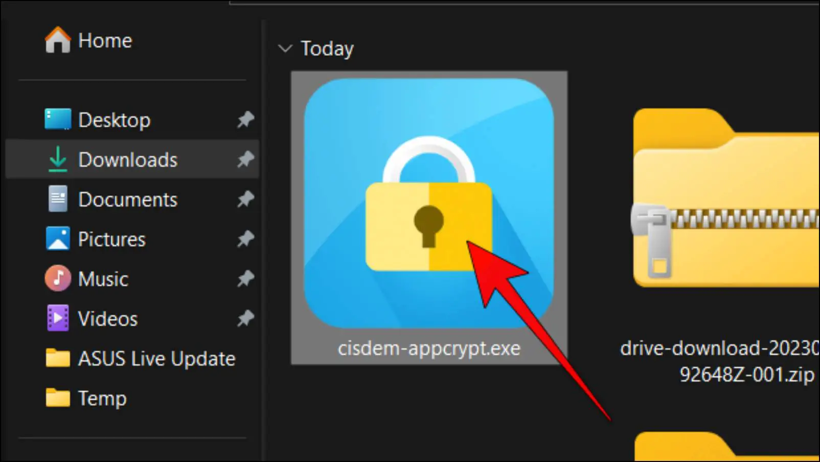 Clicking AppCrypt Application File Windows