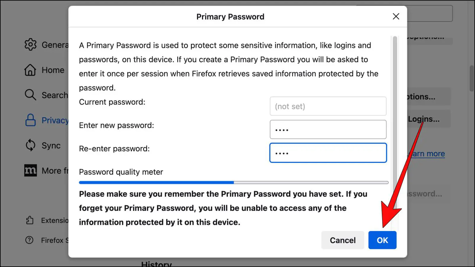 Creating Password for Firefox